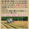 越前産そば6食